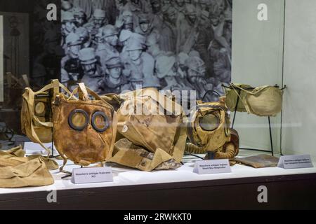 Espositore con varie maschere a gas utilizzate durante la prima guerra mondiale presso il Museo della prima guerra mondiale di Aquileia, Friuli-Venezia Giulia, Italia Foto Stock