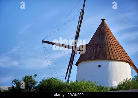 Alte Windmühle a Las Negras, Parque Natural del Cabo de Gata-Níjar Foto Stock