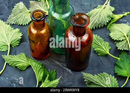 Foglie di ortica fresca e bottiglia di farmacia, erbe omeopatiche. Foto Stock