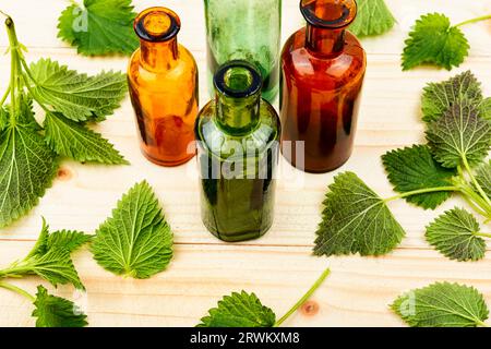 Foglie di ortica fresca e bottiglia da farmacia, erbe omeopatiche. Erboristeria Foto Stock