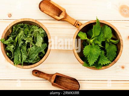 Foglie di ortica crude ed essiccate e cucchiaio di legno. Pianta medicinale. Erboristeria. Foto Stock