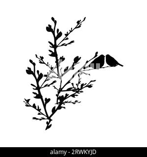 Silhouette di uccelli seduti su ramoscello di albero su sfondo bianco. Gli uccelli si sposano sul ramo. Due piccoli uccelli sulla foresta o sull'albero del giardino. Illustrazione vettoriale Illustrazione Vettoriale