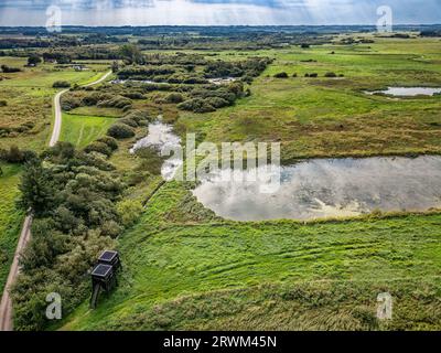 Zone umide vicino a Uldum in Danimarca Foto Stock