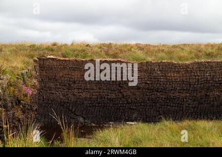 Un mucchio di blocchi di torba, tagliati di fresco, in un paesaggio irlandese Foto Stock