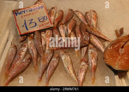 Frutti di mare in vendita al mercato municipale centrale di Varvakios, Atene, Grecia Foto Stock
