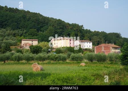 Massa Macinaia, paese rurale vicino Lucca, Toscana, Italia, in estate Foto Stock