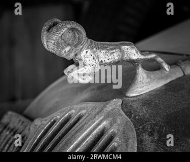 Fotografia vintage in bianco e nero che mostra una statuetta appollaiata sul cofano di una classica auto d'epoca Foto Stock