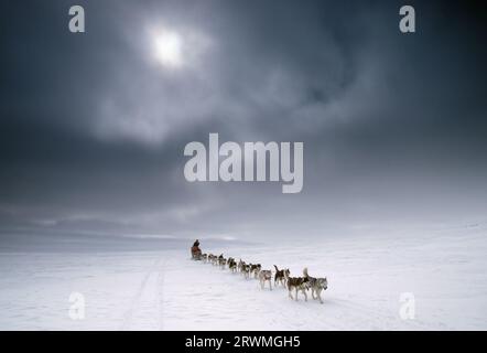 Kanada, CAN, Schlittenhundegespann a Nunavik, Provinz Quebec, Nord-Kanada | slitte trainate da cani con Huskies siberiani a Nunavik, Canada settentrionale Foto Stock