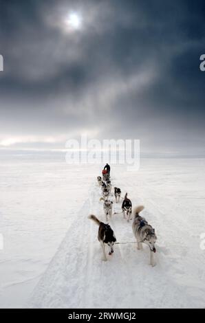 Kanada, CAN, Schlittenhundegespann a Nunavik, Provinz Quebec, Nord-Kanada | slitte trainate da cani con Huskies siberiani a Nunavik, Canada settentrionale Foto Stock