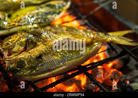 Tradizionale piatto di pesce alla griglia indonesiano marinato in una miscela di spezie ed erbe, poi grigliato su un grande fuoco. Il risultato è una f. Saporita e succosa Foto Stock