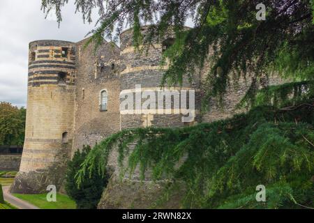 Angers, Francia, 2023. Due torri rotonde del castello medievale lungo la Promenade du Bout du Monde, con il suo famoso cedro libanese in primo piano Foto Stock