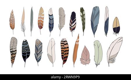 Set di piume colorate realistiche. Illustrazione vettoriale Illustrazione Vettoriale