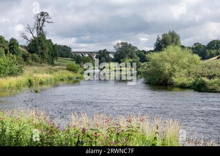 Roxburgh Viadotto, fiume Teviot, Scozia Foto Stock