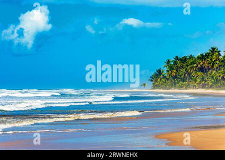 Splendida spiaggia di Sargi completamente deserta circondata da alberi di cocco in una giornata di sole a Serra grande, sulla costa meridionale di Bahia, Brasile Foto Stock
