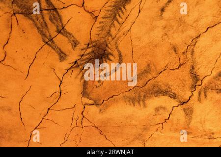 Pinturas de la cueva de Altamira, Cantabria Foto Stock