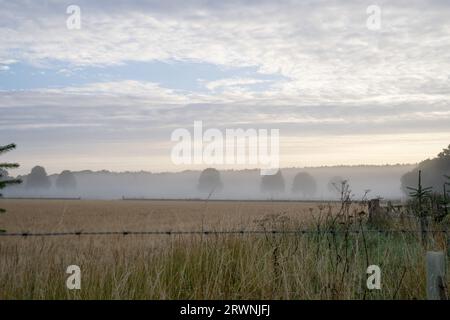 Misty Morning al District Peak National Park, Derbyshire, Inghilterra, Regno Unito Foto Stock