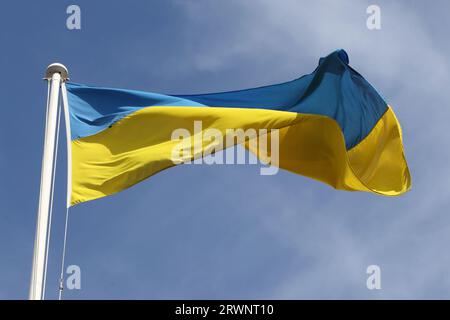 Bandiera Ucraina che sorvola Downing Street n. 10, Londra, Regno Unito Foto Stock