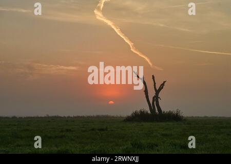 Sunrise, un campo nel Mark Brandenburg, Germania. Foto Stock