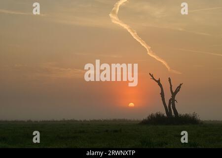 Sunrise, un campo nel Mark Brandenburg, Germania. Foto Stock