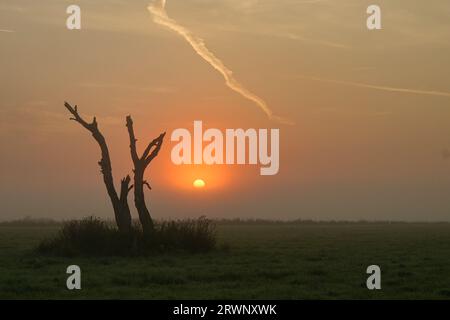 Sunrise, un campo nel Mark Brandenburg, Germania. Foto Stock