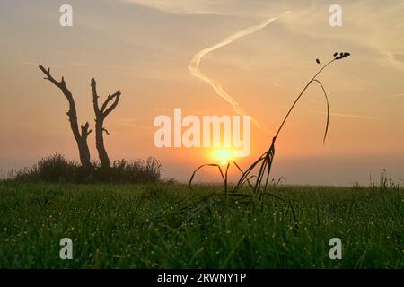 Sunrise, un campo nel Mark Brandenburg, Germania. Foto Stock