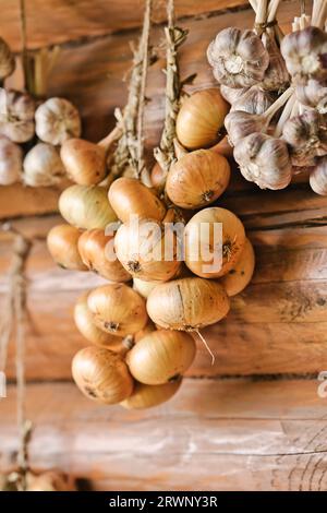 Cipolla e aglio raccolti appesi in fasci su pareti di legno. Asciugatura della cipolla e dell'aglio. Messa a fuoco selettiva. Foto Stock