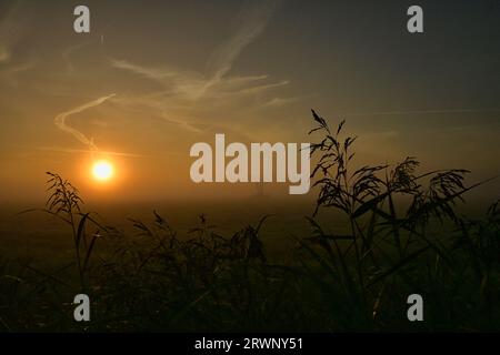 Sunrise, un campo nel Mark Brandenburg, Germania. Foto Stock