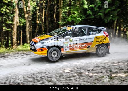 Ford Fiesta R2 rally che corre sulla speciale scena forestale al Goodwood Festival of Speed 2013 Motorsport. Sfocatura veloce e in movimento Foto Stock