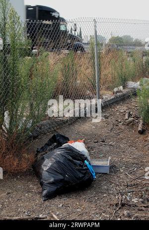 Sacchetti di plastica di rifiuti scaricati lungo la superstrada 880 presso l'Alameda Creek Trail a Union City, California, Foto Stock