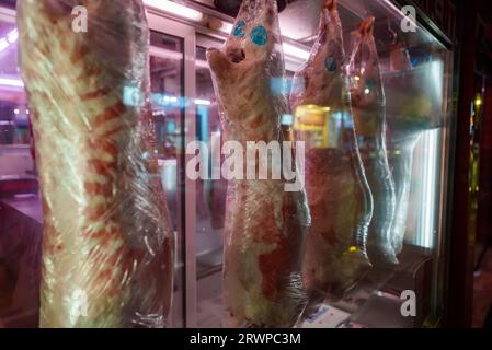 Le carcasse di maiale macellato sono appese in una macelleria. Foto Stock