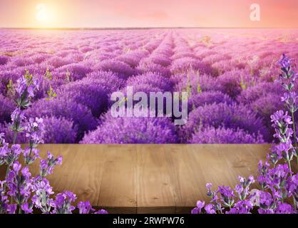 Ponte in legno tra un fiorente campo di lavanda al tramonto. Spazio per il testo Foto Stock