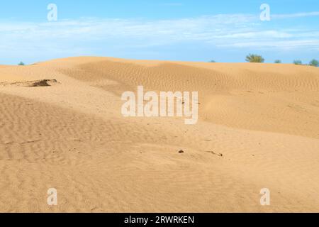 Dune nel deserto delle Terre nere in un soleggiato giorno di giugno. Repubblica di Calmucchia, Federazione Russa Foto Stock