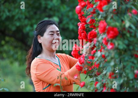 CONTEA DI LUANNAN, Cina - 30 maggio 2022: Le signore giocano nel parco, nella Cina settentrionale Foto Stock