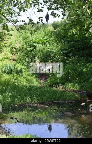 Due tubi di cemento scavati e fossa d'acqua in piscina tra erba verde sul pendio Foto Stock