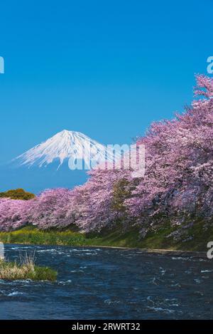 Fuji nel cielo blu e fiori di ciliegio a Ryuganbuchi sul fiume Juni Foto Stock