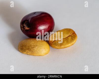 Un caffè rosso maturo ciliegia e due chicchi o semi dall'interno, primo piano Foto Stock