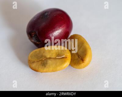 Un caffè rosso maturo ciliegia e due chicchi o semi dall'interno, primo piano Foto Stock