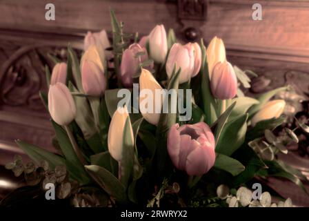 Tulipani su un pianoforte. Bouquet di tulipani su un pianoforte Foto Stock