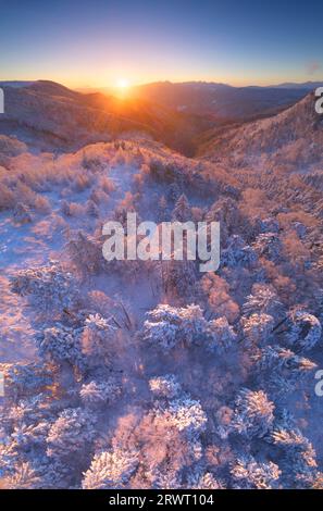 MT. Fuji, la catena montuosa di Yatsugatake e le Alpi meridionali Foto Stock