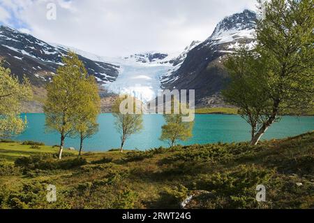 Ghiacciaio Svartisen nella Norvegia settentrionale Foto Stock