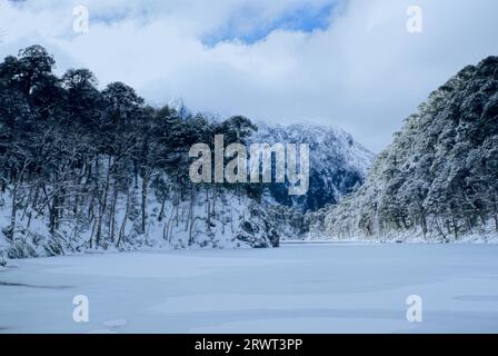 Vista panoramica della foresta densa sotto una copertura nevosa sulla riva Foto Stock