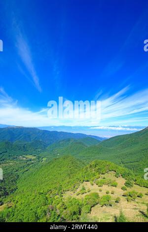 Mare di alberi, città di Matsumoto e montagne come la catena montuosa Hotaka Foto Stock