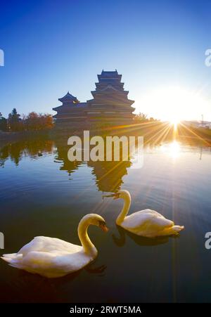 Matsumoto Castle e un paio di cigni la mattina Foto Stock