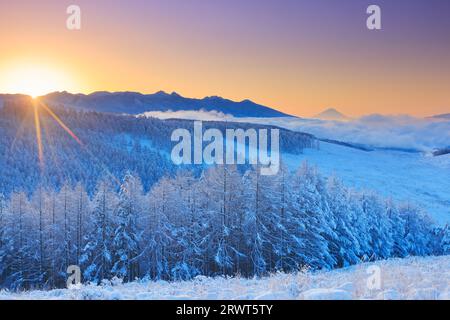 Catena montuosa di Yatsugatake, Mt. Fuji, foresta di larici con nebbia e ghiaccio, mare di nuvole e sole nascente Foto Stock