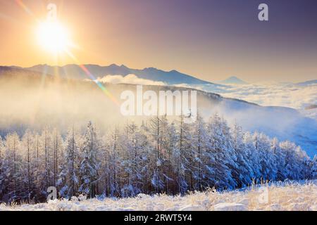 Catena montuosa di Yatsugatake, Mt. Fuji, foresta di larici con nebbia e ghiaccio, mare di nuvole e sole nascente Foto Stock