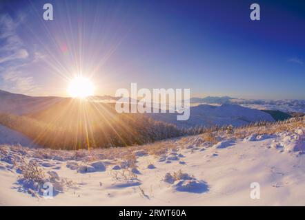 Catena montuosa di Yatsugatake, Mt. Fuji, nebbia mattutina, foresta di larici con nebbia e ghiaccio, mare di nuvole e alba Foto Stock