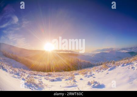 Catena montuosa di Yatsugatake, Mt. Fuji, nebbia mattutina, foresta di larici con nebbia e ghiaccio, mare di nuvole e alba Foto Stock