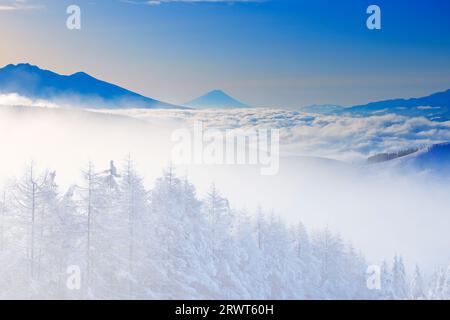 Catena montuosa di Yatsugatake, Mt. Fuji, mare di nuvole, foresta di larici con nebbia e ghiaccio e nebbia mattutina Foto Stock