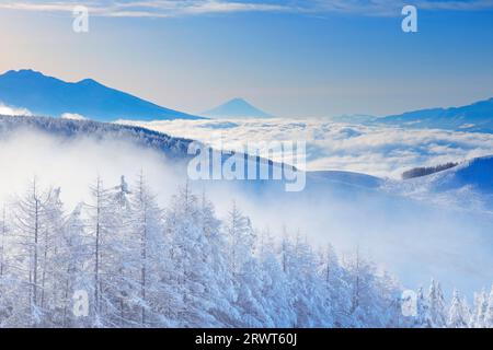 Catena montuosa di Yatsugatake, Mt. Fuji, mare di nuvole, foresta di larici con nebbia e ghiaccio e nebbia mattutina Foto Stock