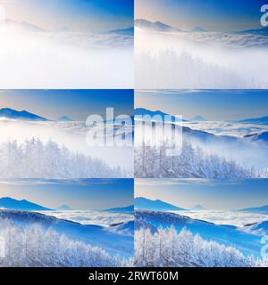 Catena montuosa di Yatsugatake, Mt. Fuji, mare di nuvole, foresta di larici con nebbia e ghiaccio, e nebbia mattutina limpida Foto Stock